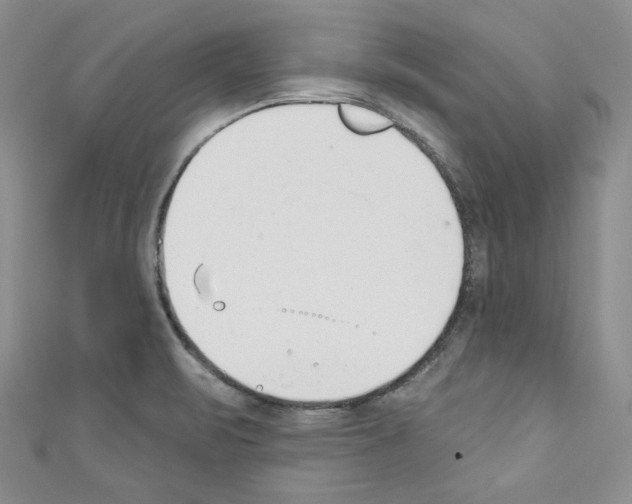 X0000110741471200907271051