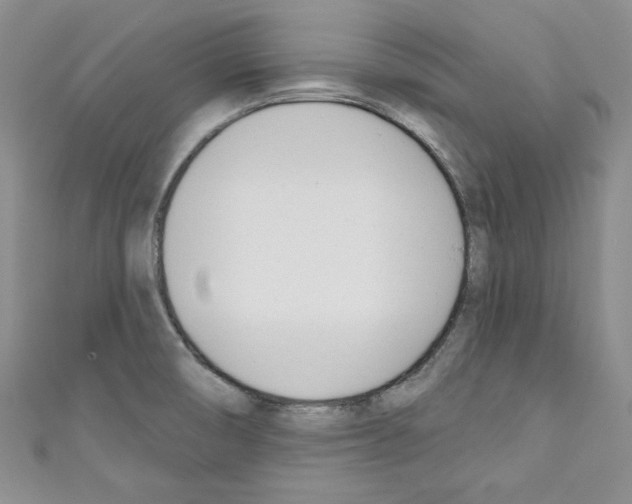 X0000110741474200907271051