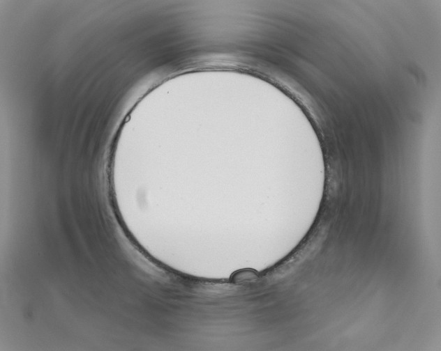 X0000110741475200907271051