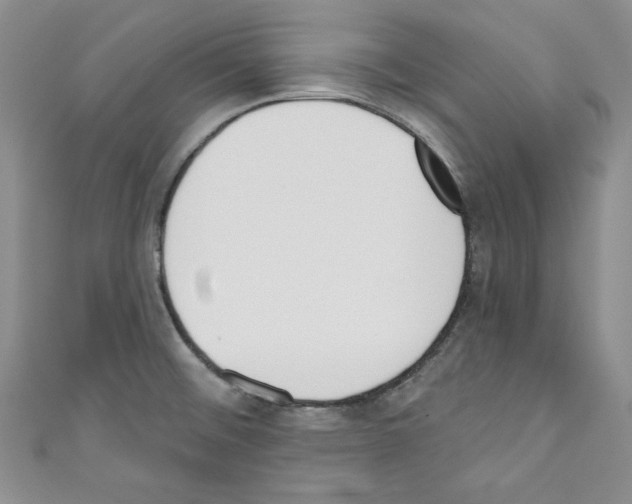 X0000110741476200907271051