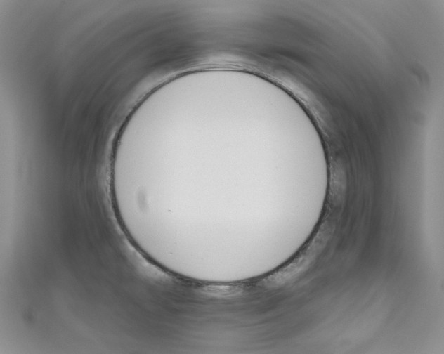 X0000110741478200907271051