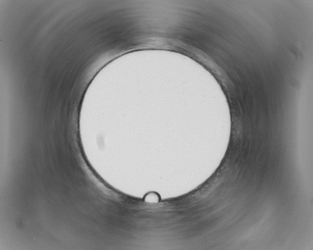 X0000110741479200907271051