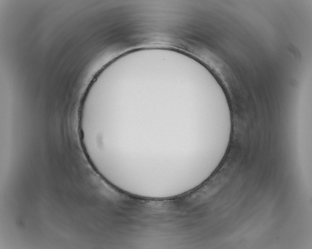 X0000110741480200907271051
