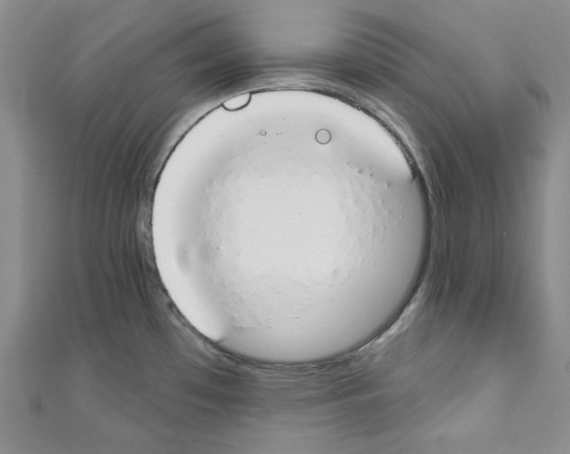 X0000110741481200907271051