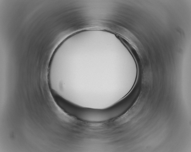 X0000110741484200907271051