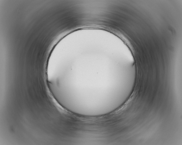 X0000110741485200907271051