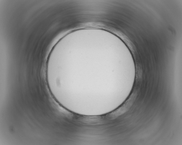 X0000110741486200907271051