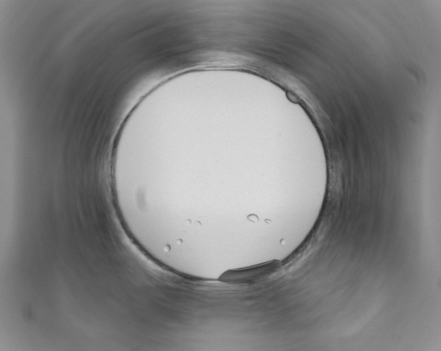 X0000110741487200907271051