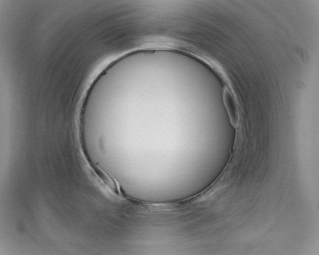 X0000110741488200907271051