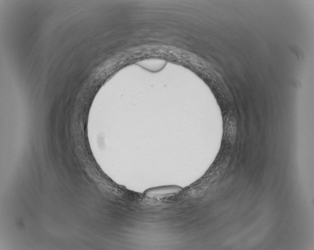 X0000110741489200907271050