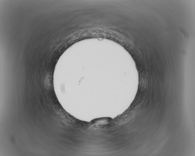 X0000110741490200907271050