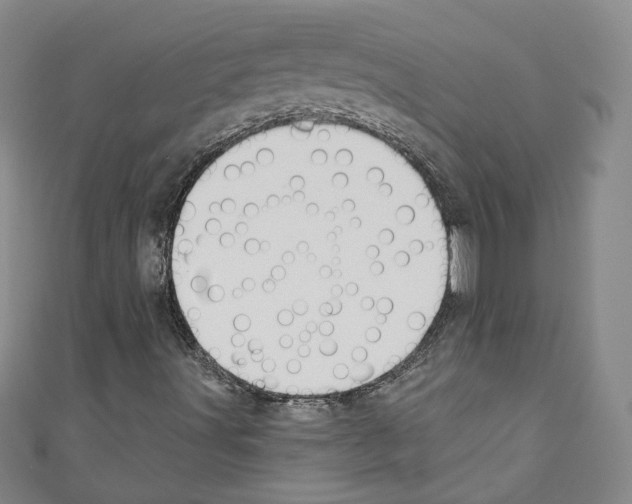 X0000110741491200907271051