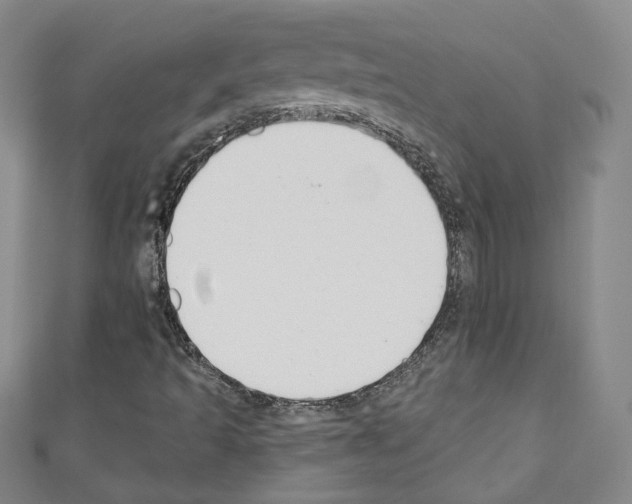X0000110741493200907271051