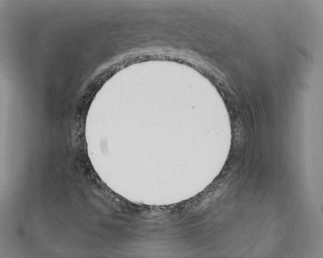 X0000110741494200907271051