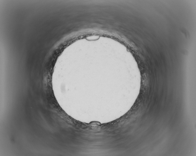 X0000110741495200907271051