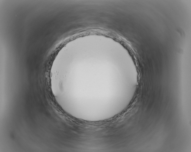 X0000110741496200907271051