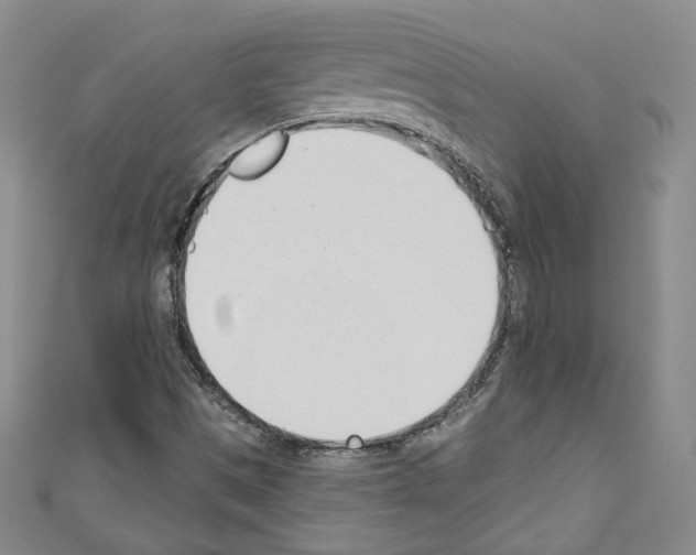 X0000110741497200907271051