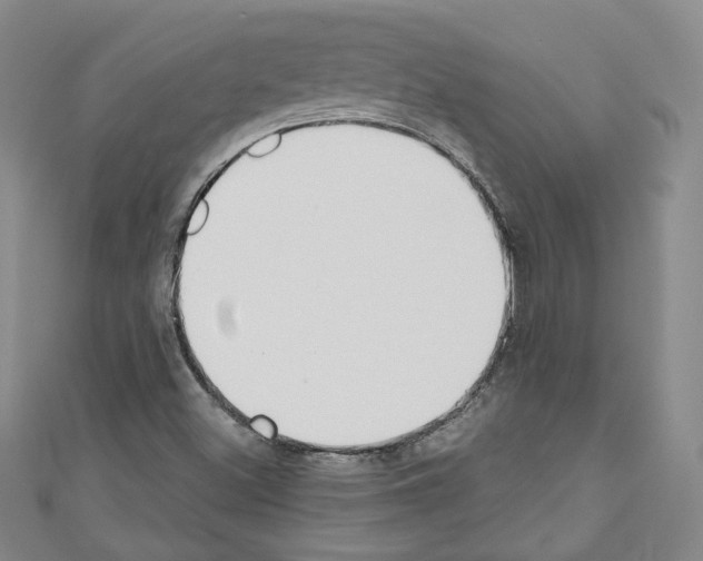 X0000110741500200907271051