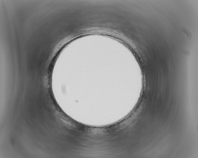 X0000110741501200907271051