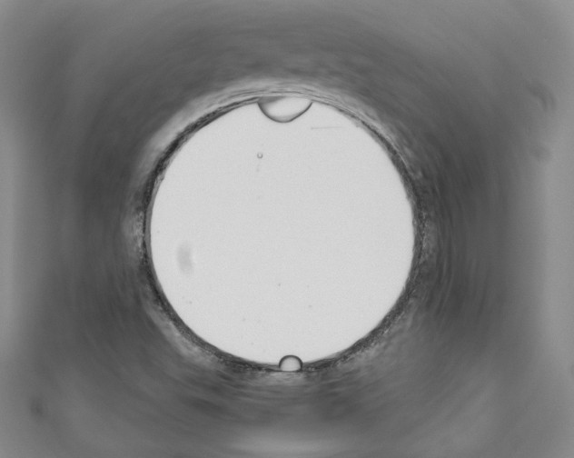 X0000110741503200907271051