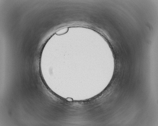 X0000110741504200907271051
