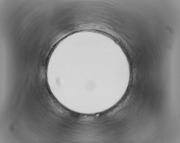 X0000110741505200907271051