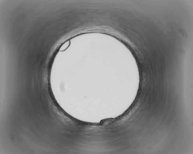 X0000110741506200907271051