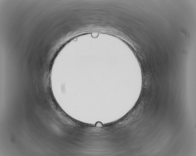 X0000110741507200907271051