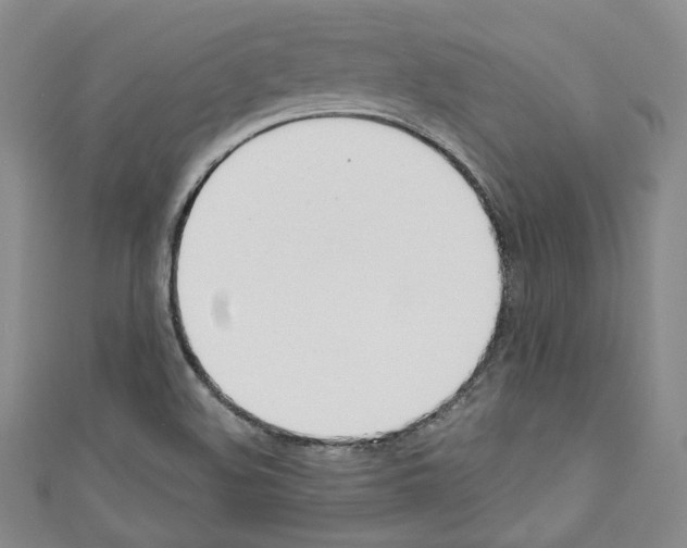 X0000110741508200907271051