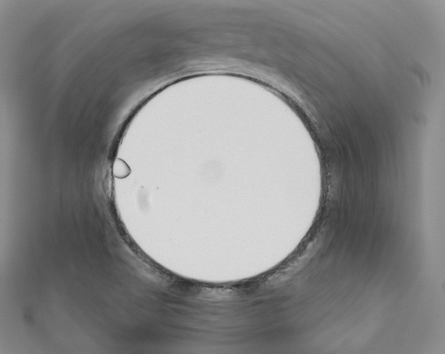 X0000110741509200907271051