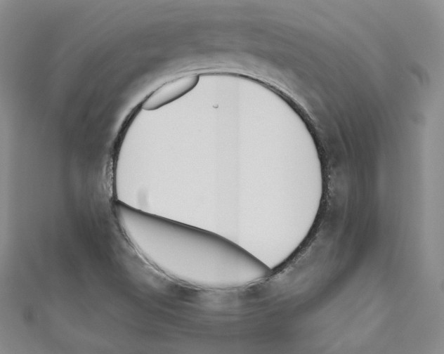 X0000110741510200907271051