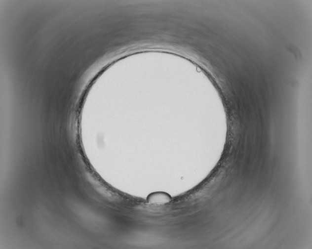 X0000110741511200907271051