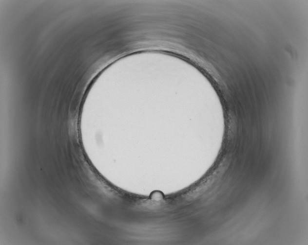 X0000110741513200907271051