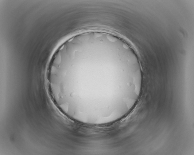 X0000110741514200907271051