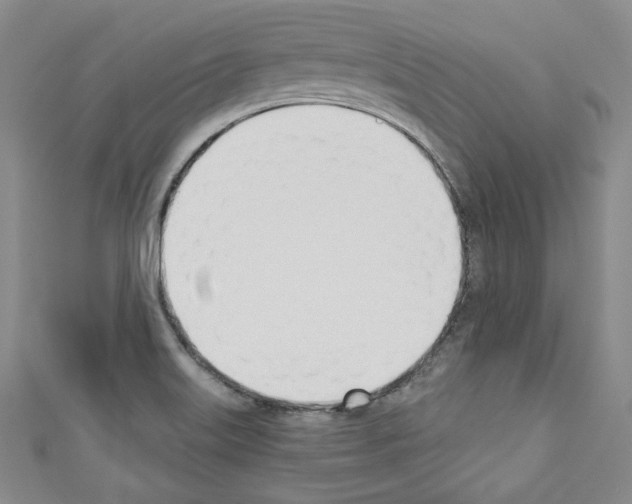 X0000110741515200907271051