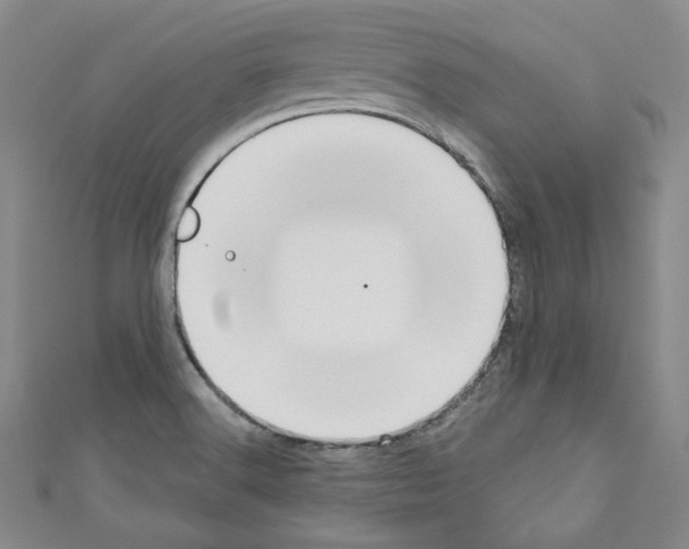 X0000110741516200907271051