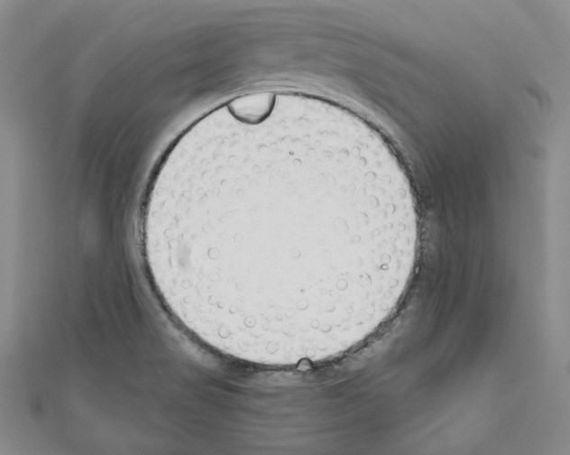 X0000110741517200907271051
