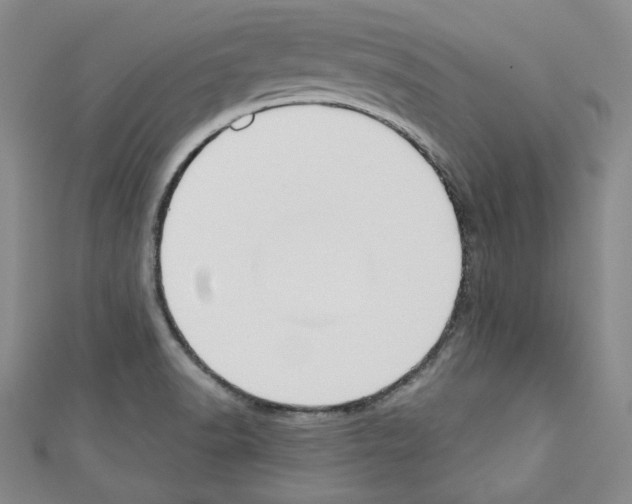 X0000110741518200907271051