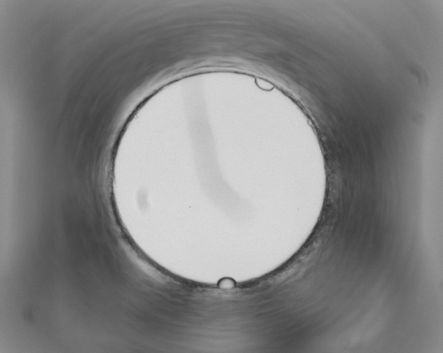 X0000110741519200907271051