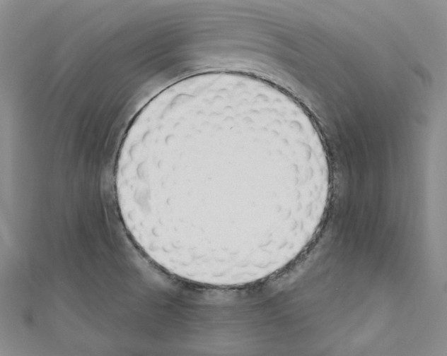 X0000110741521200907271051