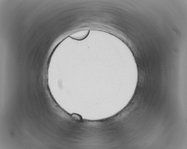 X0000110741522200907271051