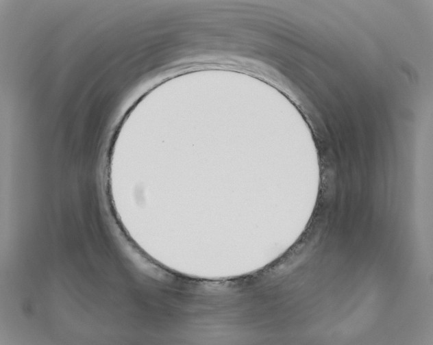 X0000110741523200907271051