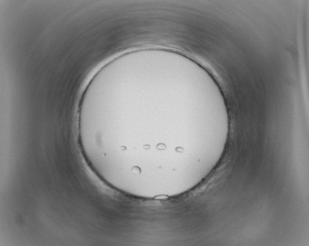 X0000110741524200907271051
