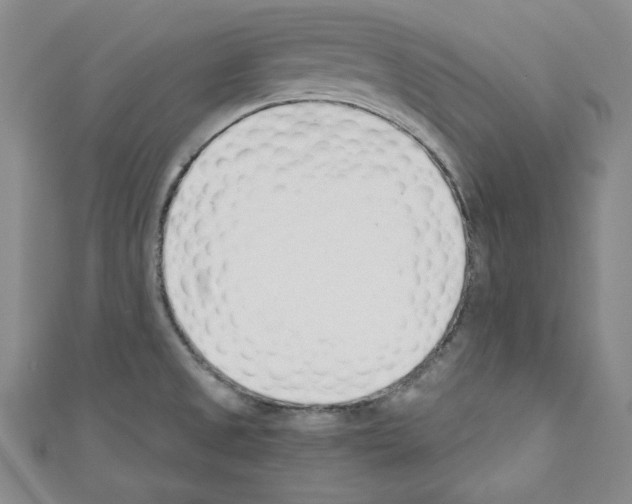 X0000110741525200907271051