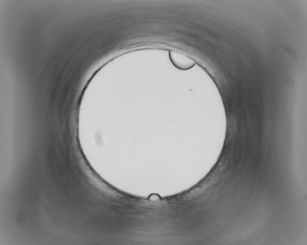 X0000110741526200907271051