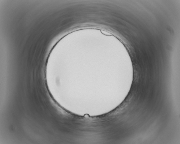 X0000110741527200907271051