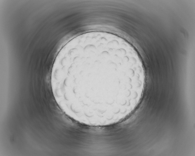 X0000110741529200907271051