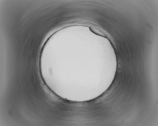 X0000110741530200907271051