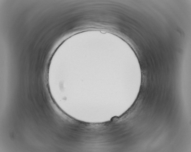 X0000110741531200907271051