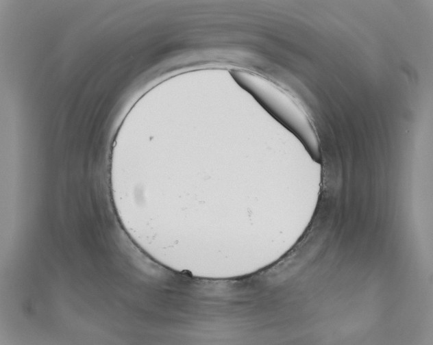 X0000110741532200907271051